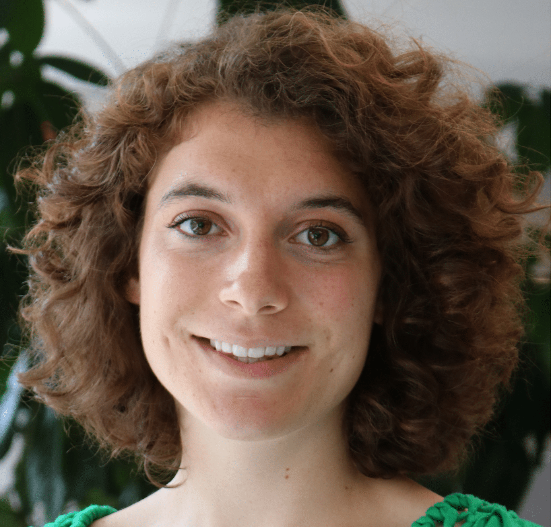 Introduction to city climate action planning
