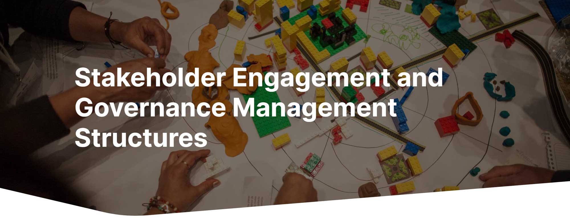 Stakeholder Engagement and Governance Management Structures Course